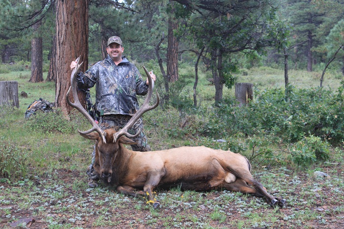 elk 3.JPG