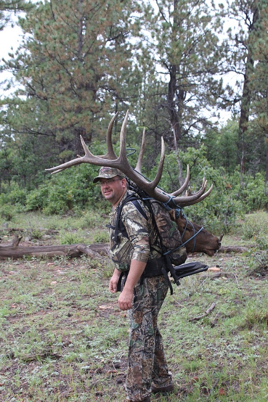 elk 5.JPG