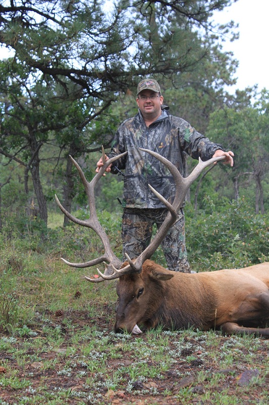 elk 2.JPG