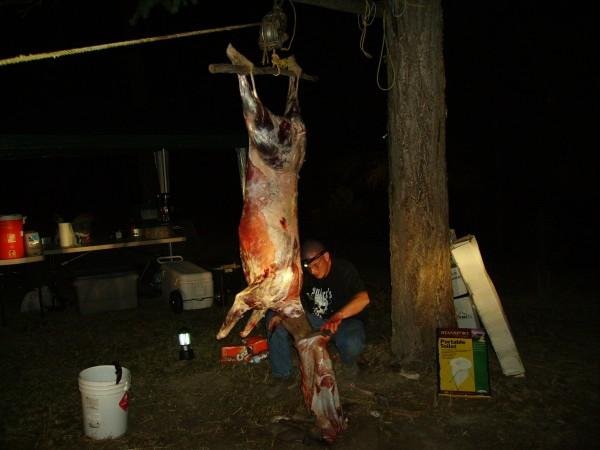 Okanogan doe.jpg