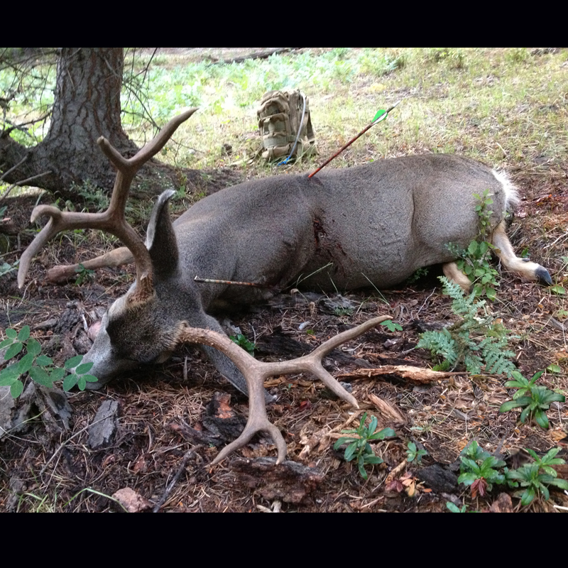 2013Muley.jpg