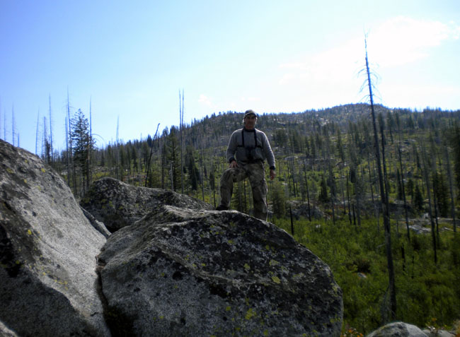 Elk Country 4.jpg