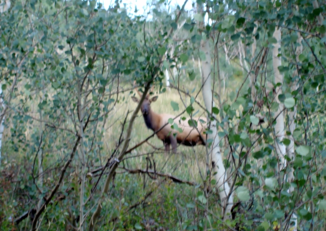 DSC01067 (640x454).jpg