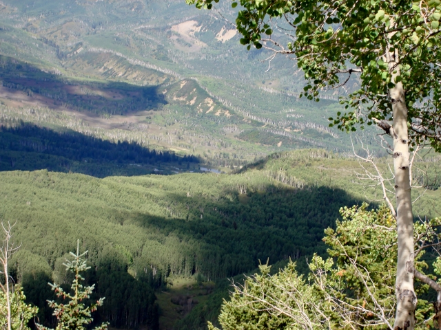 DSC01078 (640x480).jpg