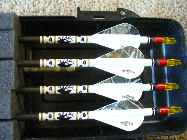 P1020007.JPG