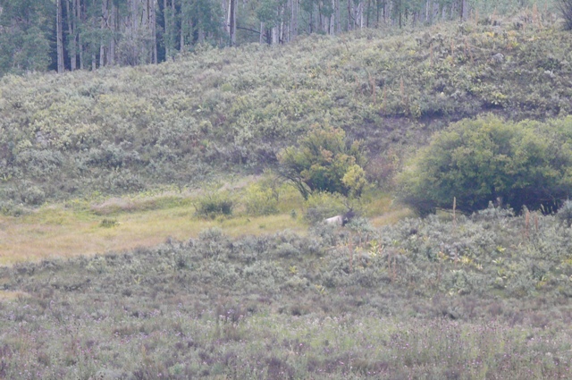 2013 elk hunt 005.jpg