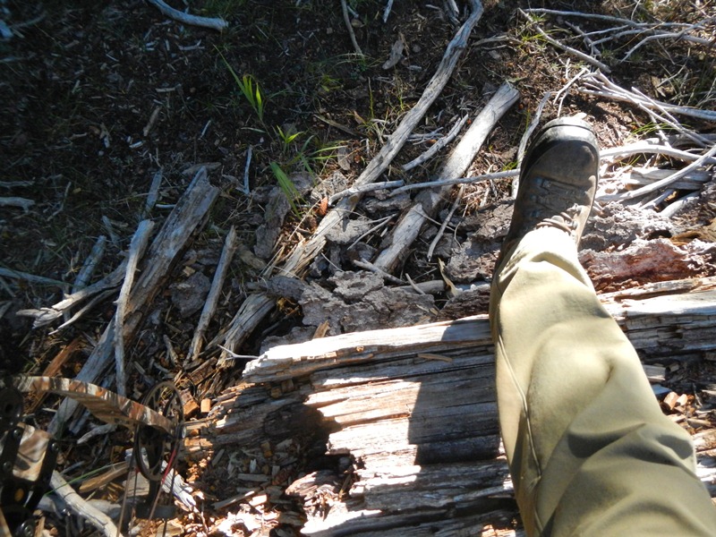800 Deadfall.jpg