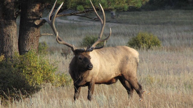 colorado 2011 087 [640x480].jpg