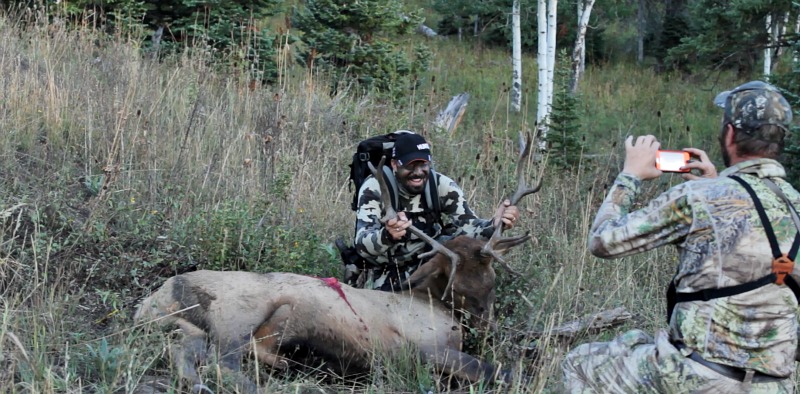 stone glacier huntography colorado bull elk 5x5.jpg