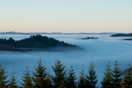 DSC_0025.jpg