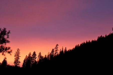 DSC_0027.jpg