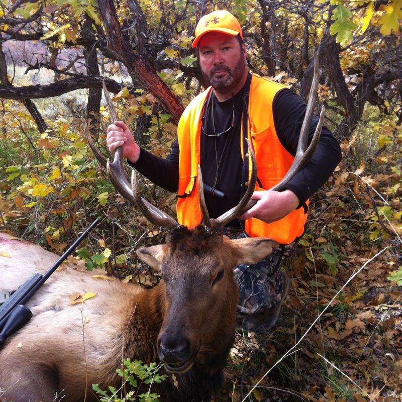 DanaElk201302.jpg