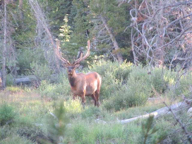 IMG_2952 (Small).JPG