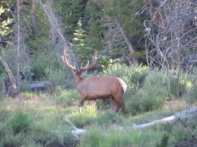 IMG_2954 (Small).JPG