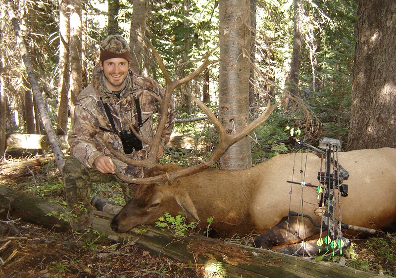 Eddie's Bull A.jpg