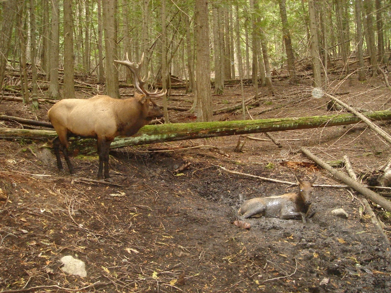 DSC00478 (800x600).jpg
