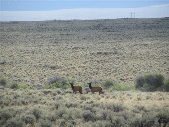 IMG_2935 (Small).JPG