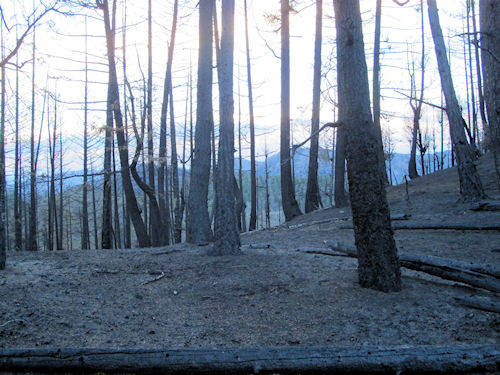 Beaver Creek Fire 10-8-13 005.jpg
