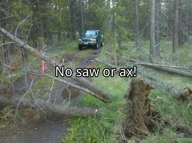 IMG_20120610_204333-picsay.jpg