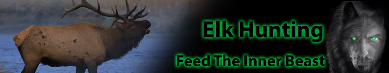 FeedIt3.jpg