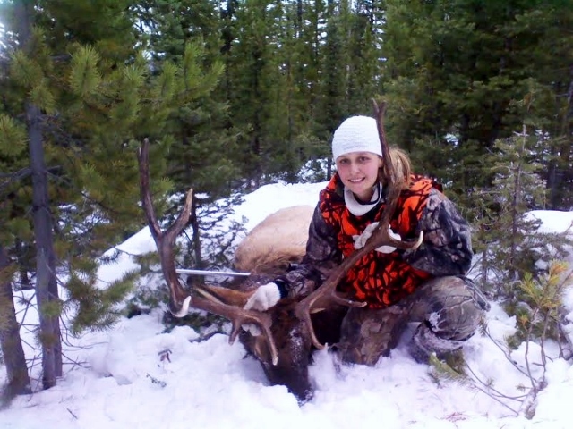 Rhondells Bull (640x480).jpg