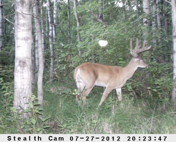 Screen Shot 2012-08-02 at 3.34.44 PM.png