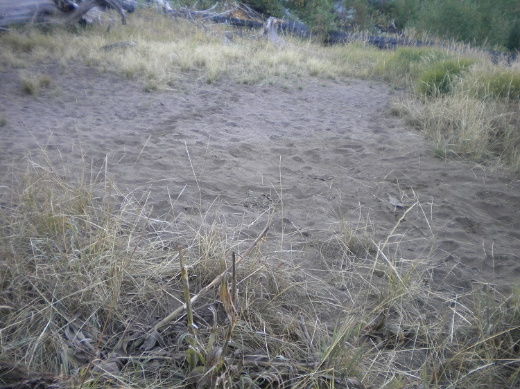 DSCN1897.JPG