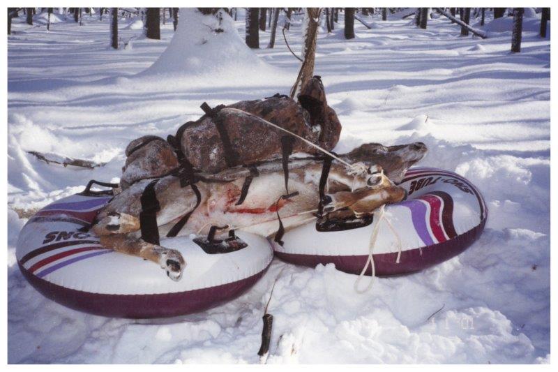 Deer Sled e-mail.jpg