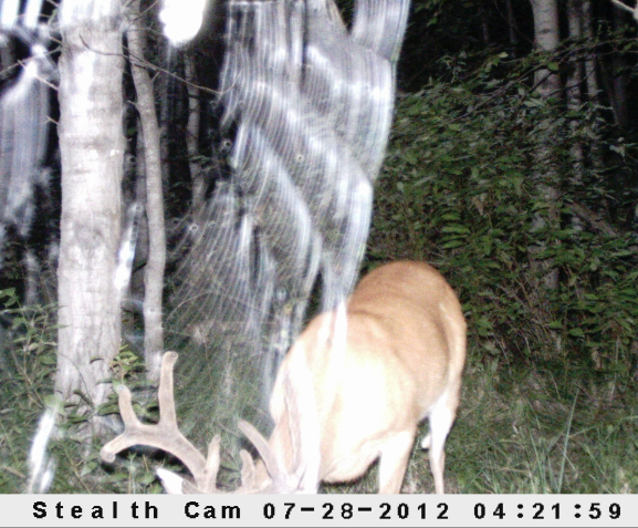 Screen Shot 2012-08-02 at 3.39.12 PM.png