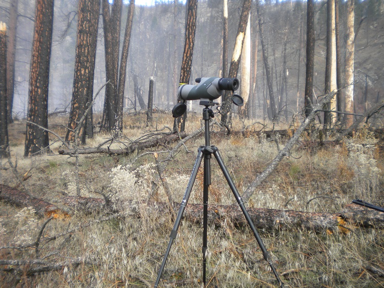 DSCN2373.JPG