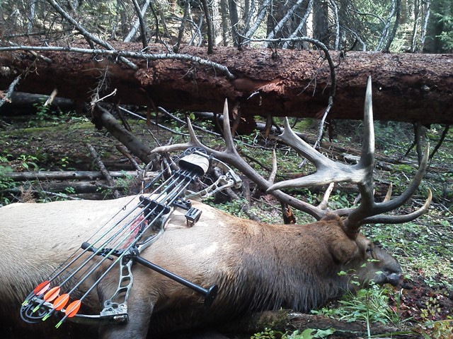 2013 elk side view resize.jpg