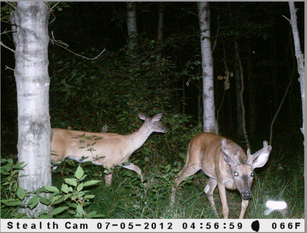 Screen Shot 2012-08-02 at 3.43.20 PM.png