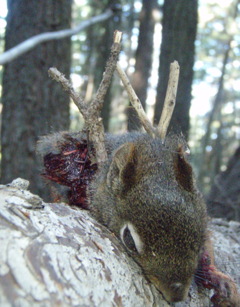 Screen Shot 2012-08-02 at 8.09.52 PM.png