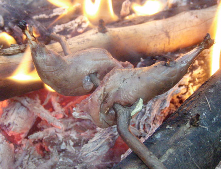 Screen Shot 2012-08-02 at 8.10.15 PM.png