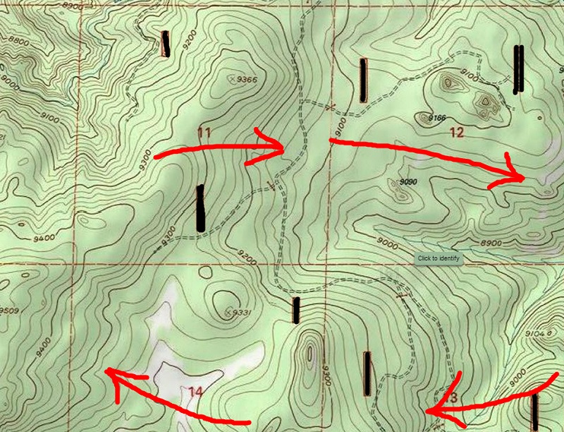 topo1.jpg