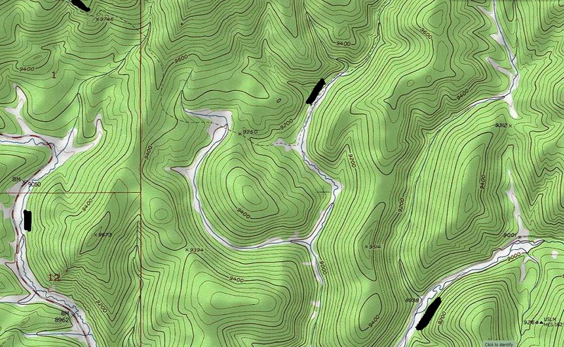 topo2.jpg