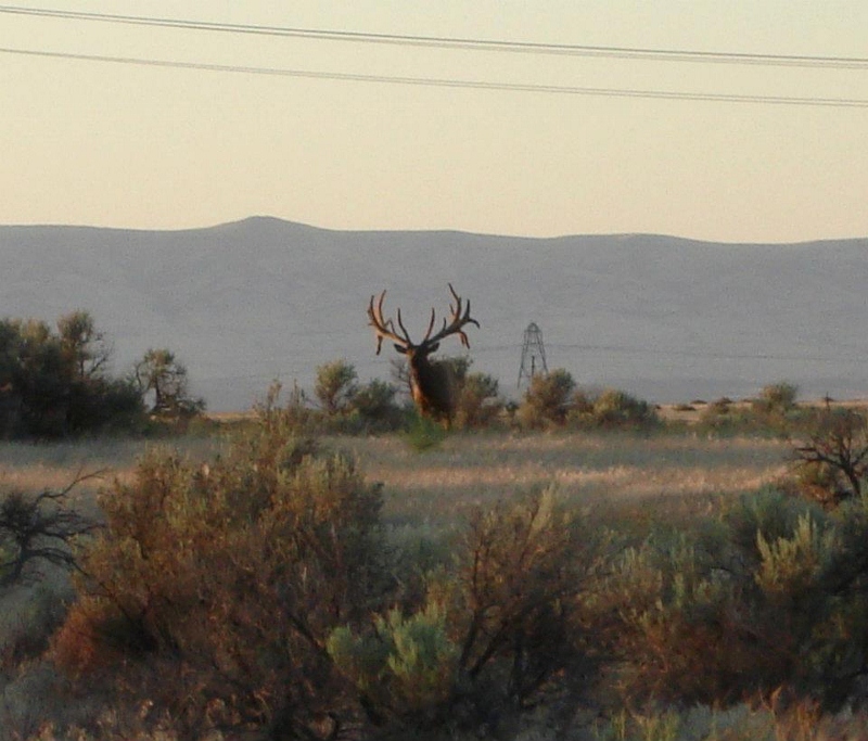 monster (800x683).jpg