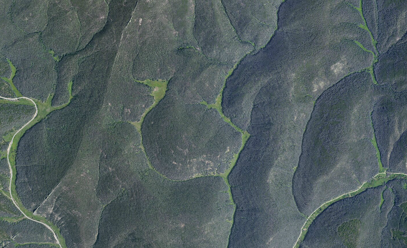 aerial2.png