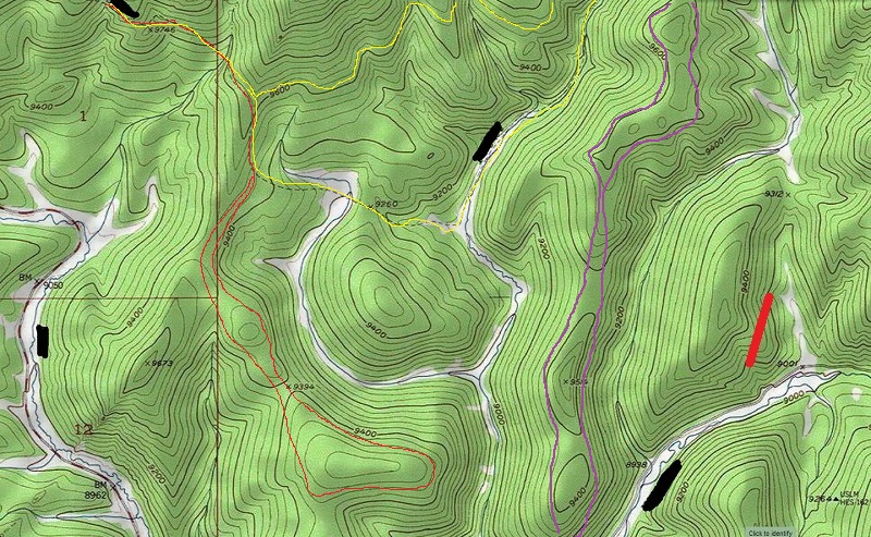 topo12.jpg