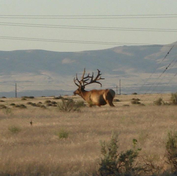 monster2 (720x714).jpg