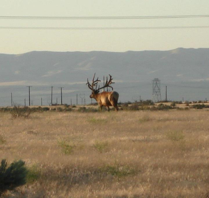 monster3 (720x681).jpg