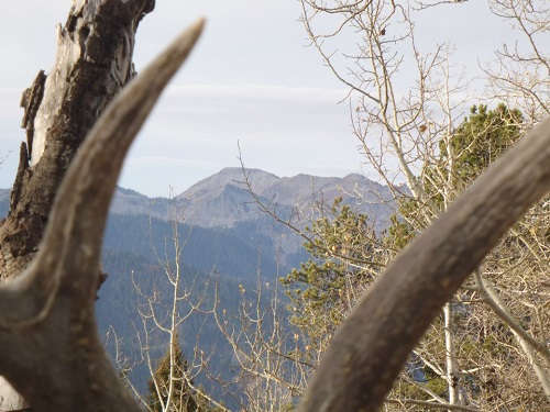 Wyoming scenery.jpg