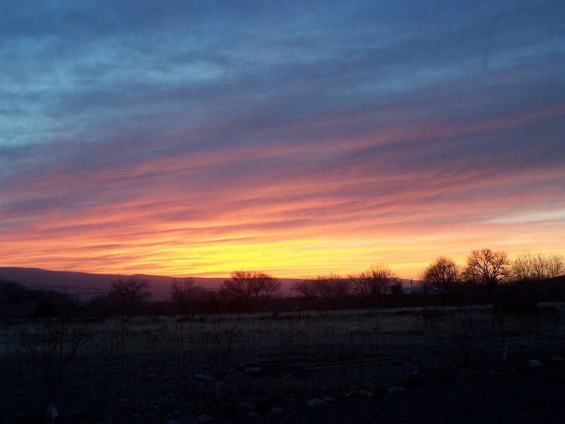 sunset shrunk.jpg