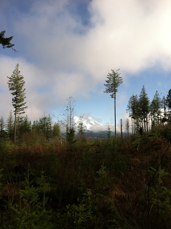 IMG_0333.JPG