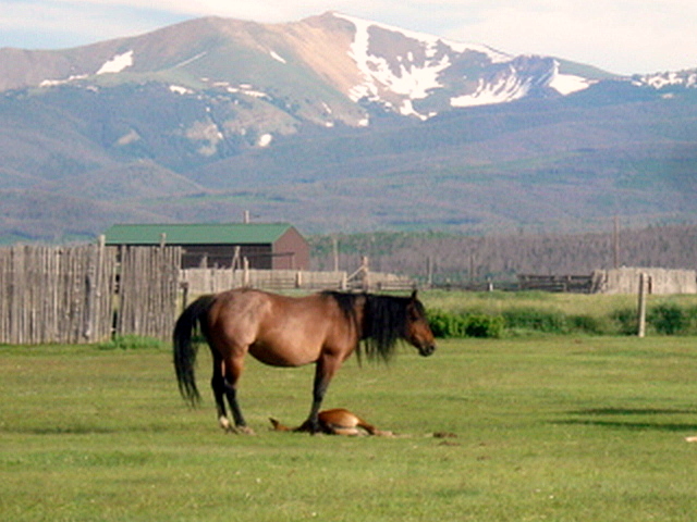 DSC03480.JPG