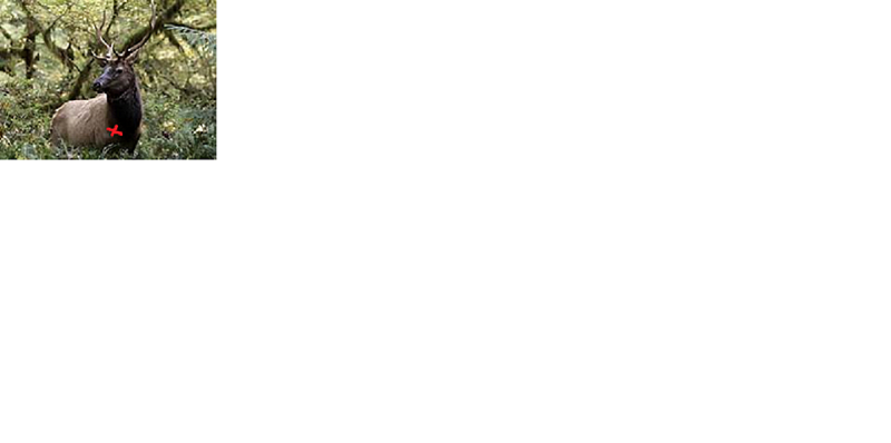 WARoosey1.png