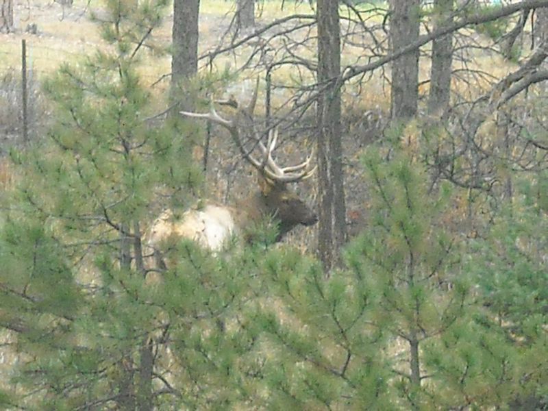DSCN300712.jpg