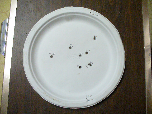 P1020017.JPG