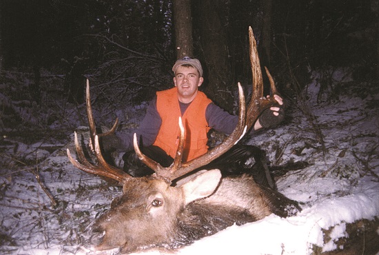 ShawnsBull.jpg