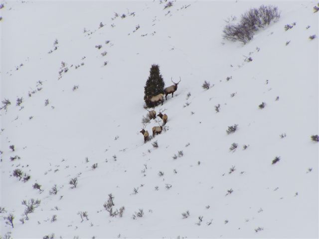 Steve WY 02-08 014.jpg